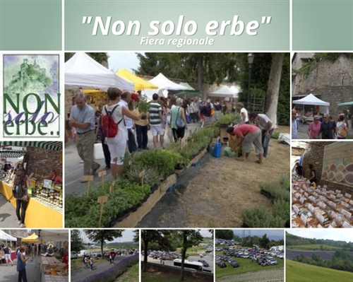 XXVI Fiera regionale delle erbe officinali ed aromatiche "Non solo erbe"